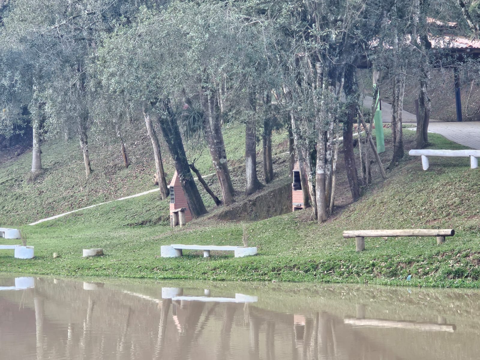 bosque tanque de pesca